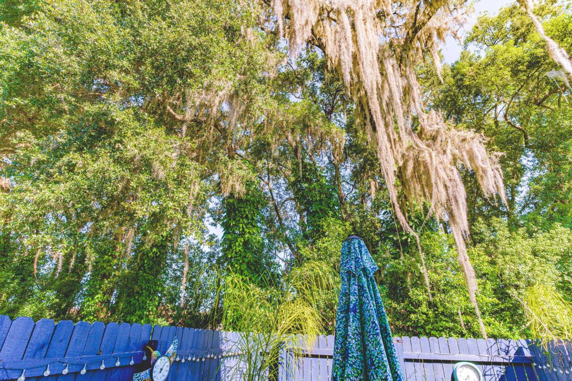 The Estate At Mt Dora *